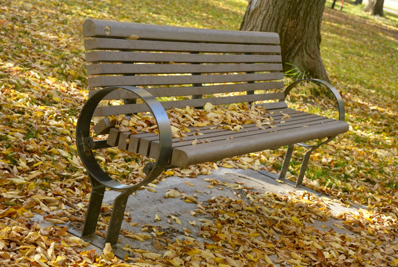 Bench