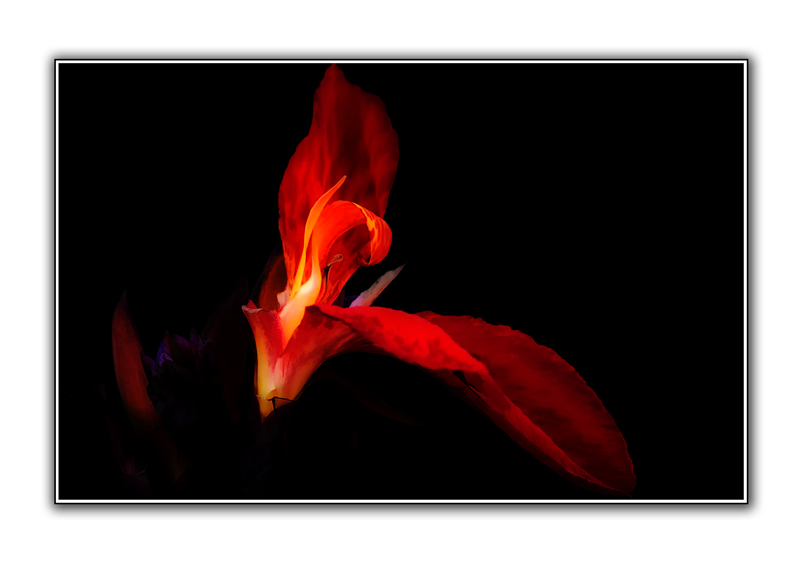 Blossom Uniqueness by Marlene