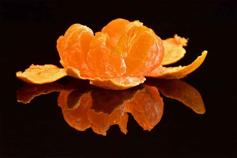 Mandarin Orange by Darlene Perkin