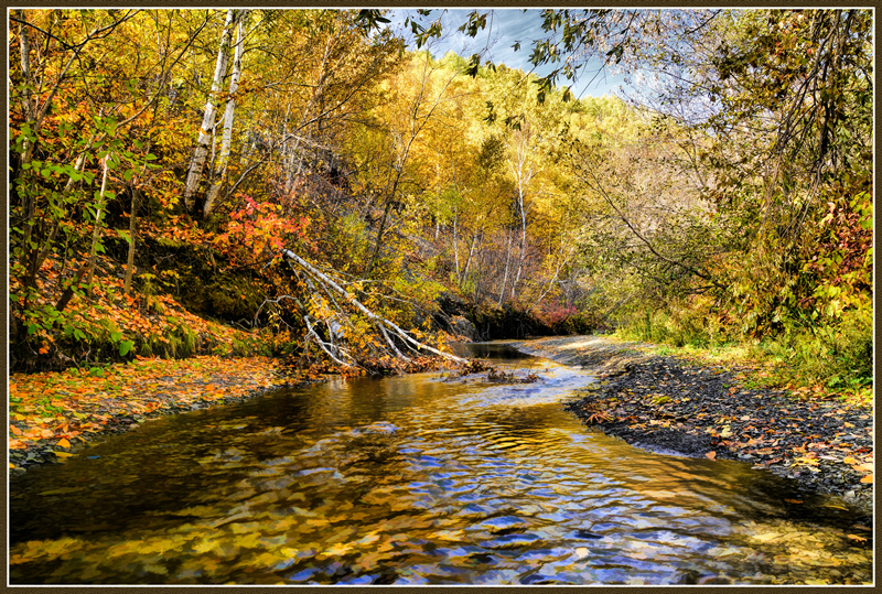 Fall Colours by Pat Stone