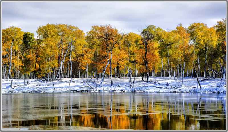 Fall and Winter United by Marlene Smith