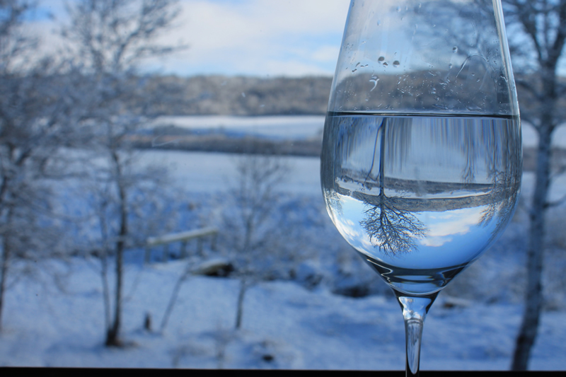 Winter Wineglass by Nancy