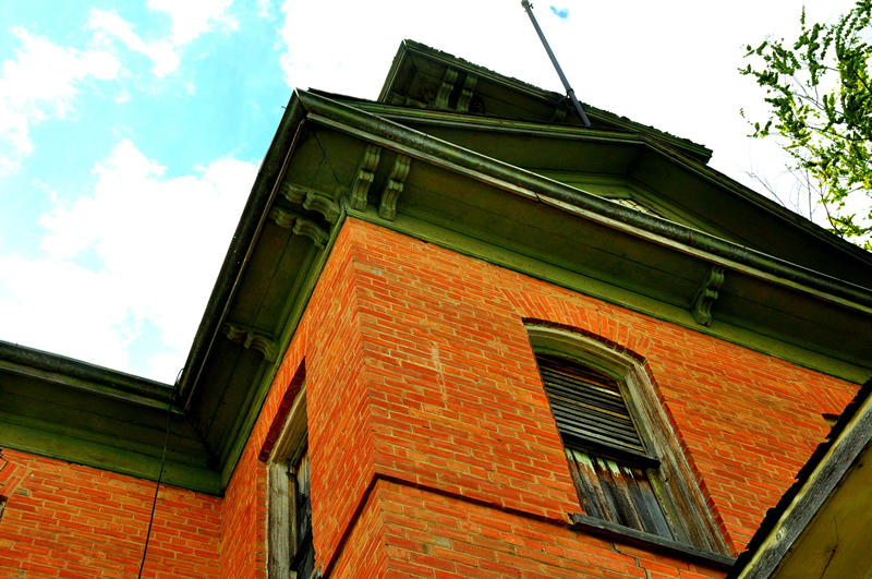 Looking Up by Cheryl