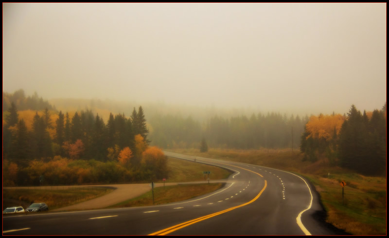 Foggy Fall Foliage