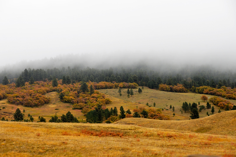 Valley Fog by Jim Atkinson