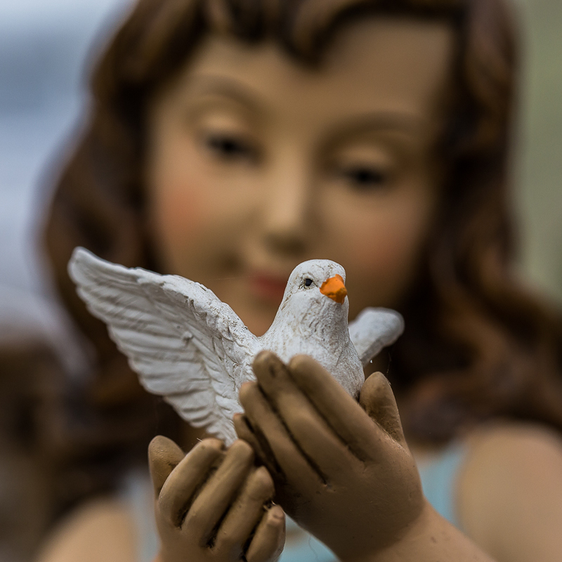 A Favourite Thing by Stino Scaletta