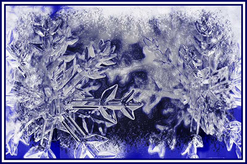 Crystal Snow Flakes by Ray Holmberg