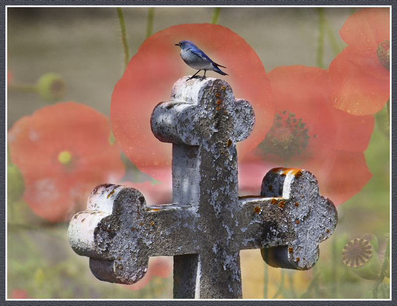 Remember by Pat Stone