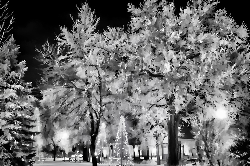 Black and White Enchantment by Marlene Smith