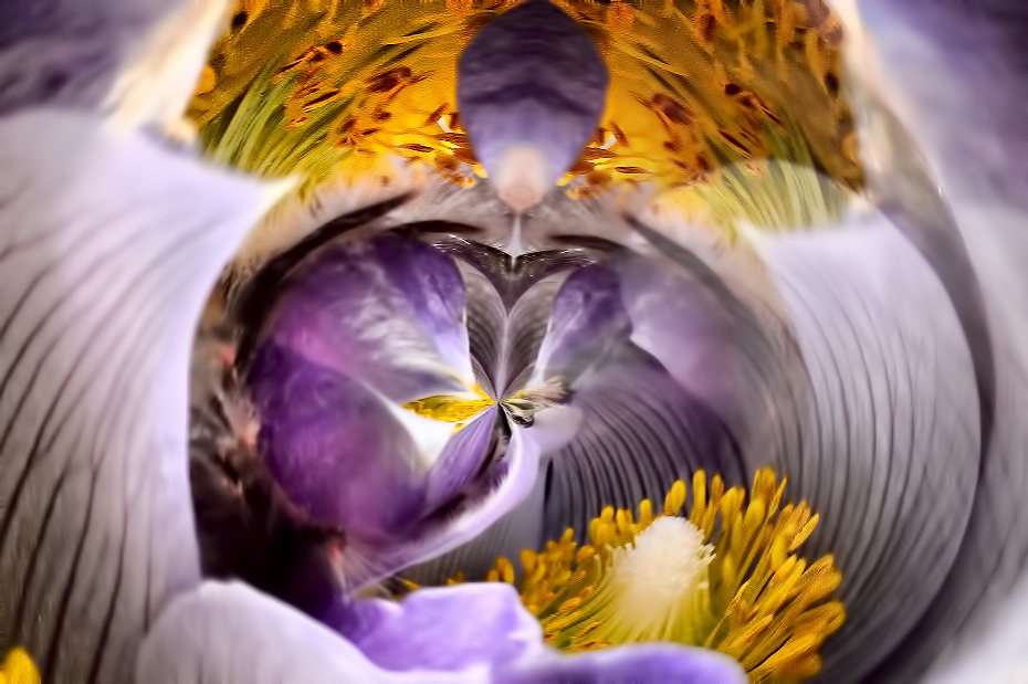 Creative 1 by Marlene Smith