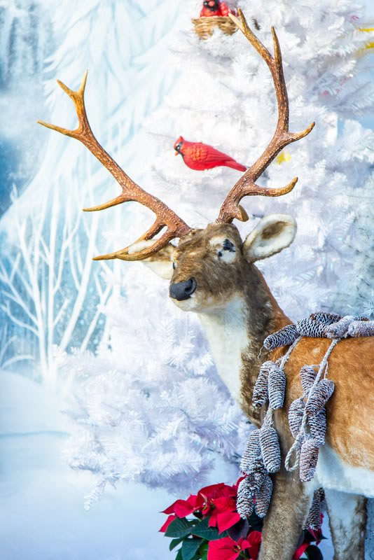 Bird Perch by Janna MacDonald