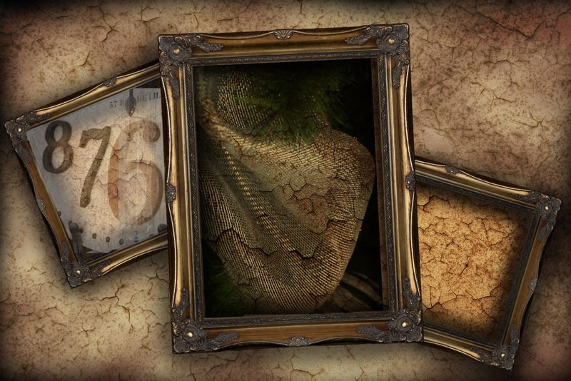 Fill the Frame by JIm Atkinson