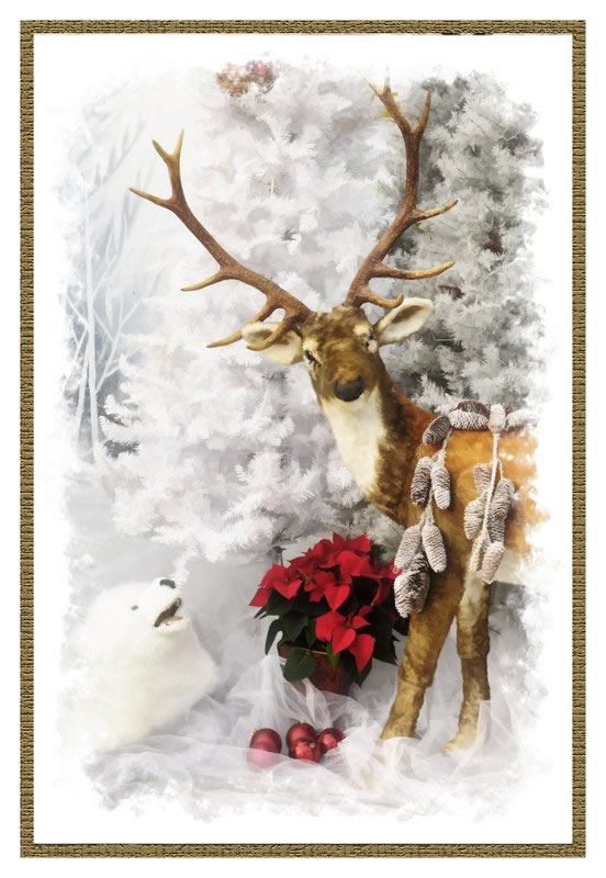 Woodsy by Marlene Smith