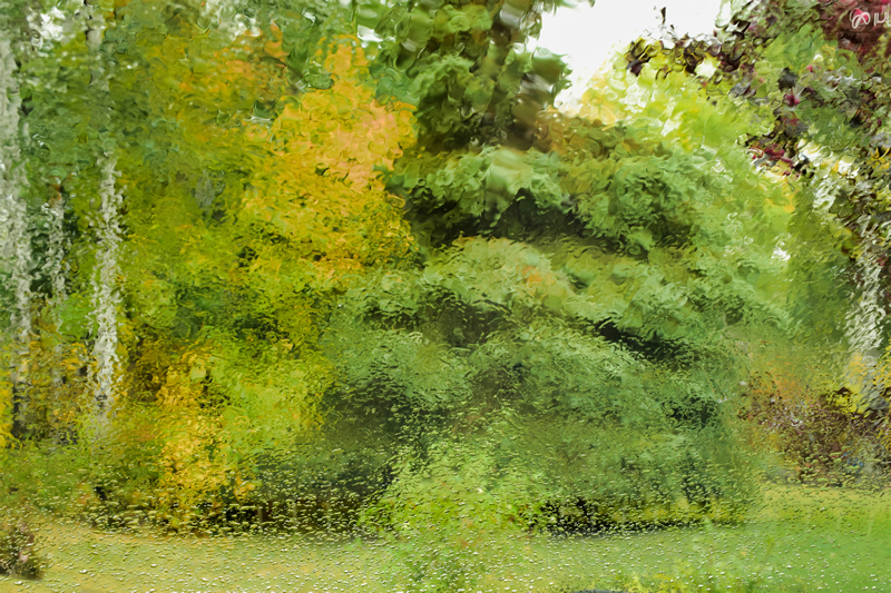 Through a Rainy Window by Darlene Perkin