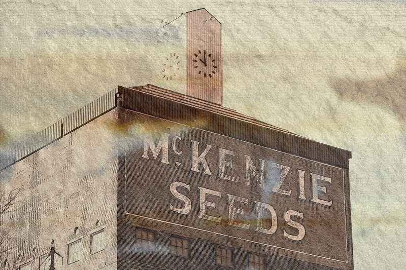 McKenzie Seeds by Ray