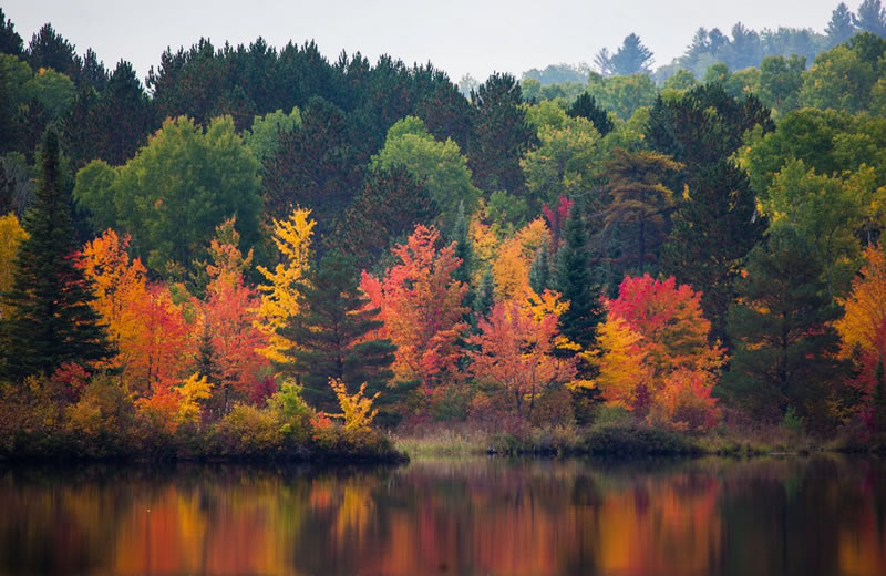 Fall Reflections by Terry Roberts