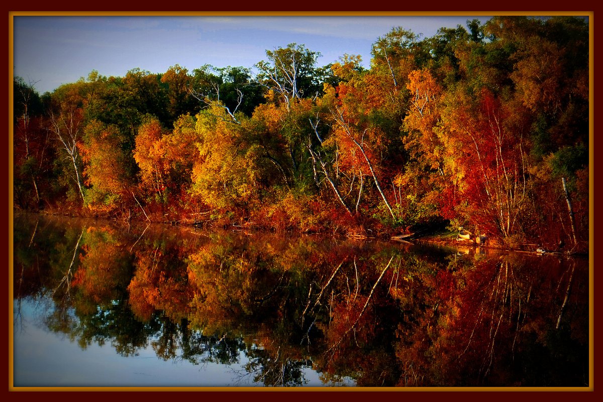 Fall Reflection by Trudy Curtis