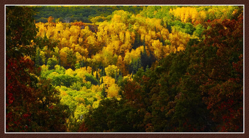 Fall Valley by Pat Stone