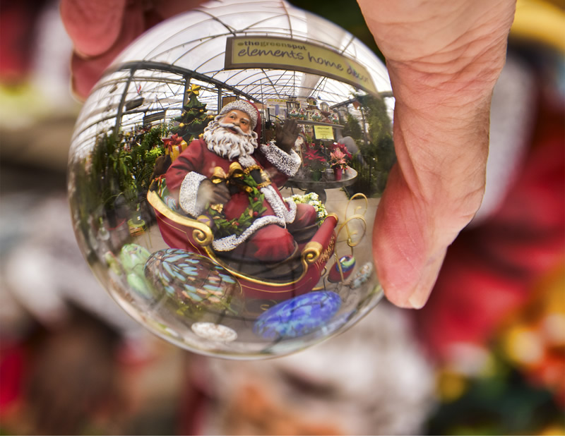 Through a Looking Glass by Darlene Perkin