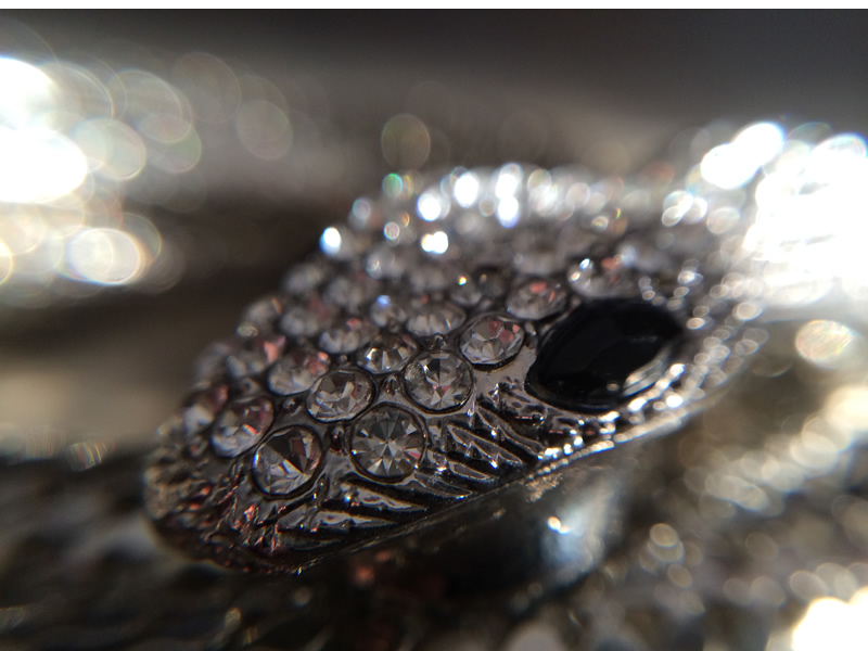 Snakes by Nancy MacKay