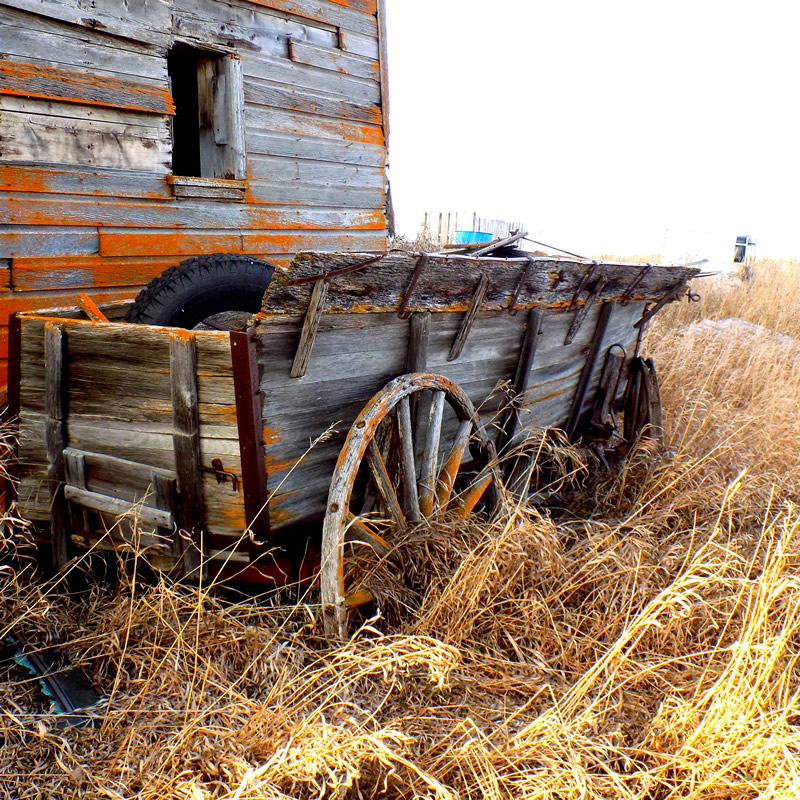 Barn and Cart by Cheryl