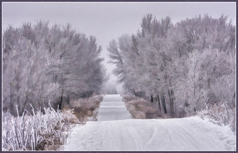 Frosty Road by Pat