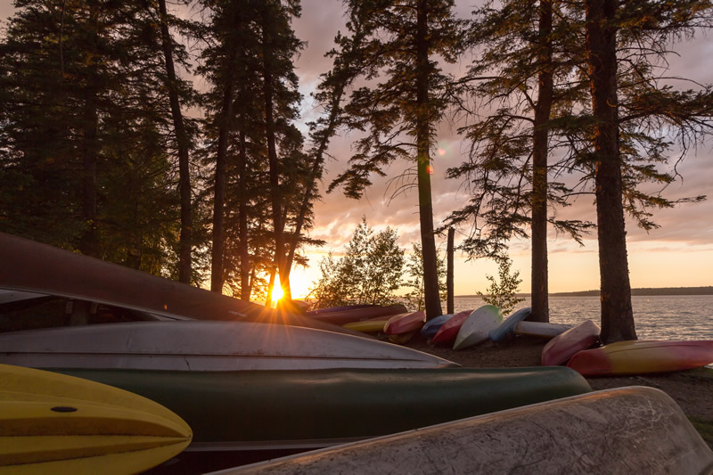 Beached by Andrew March