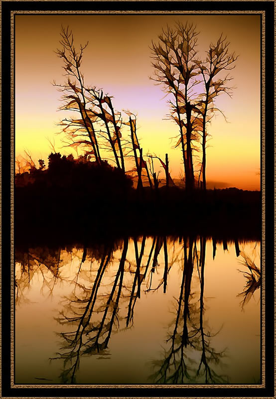 Marlene Smith - Summer Relection