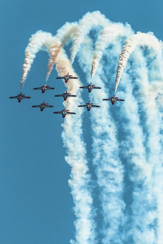 Stino Scaletta - Snowbirds