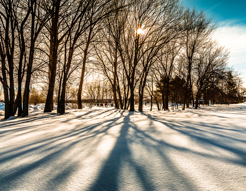 Shadows by Stino Scaletta