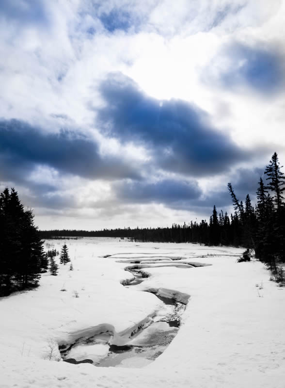 Winter Creek by Mary Anne Rocan